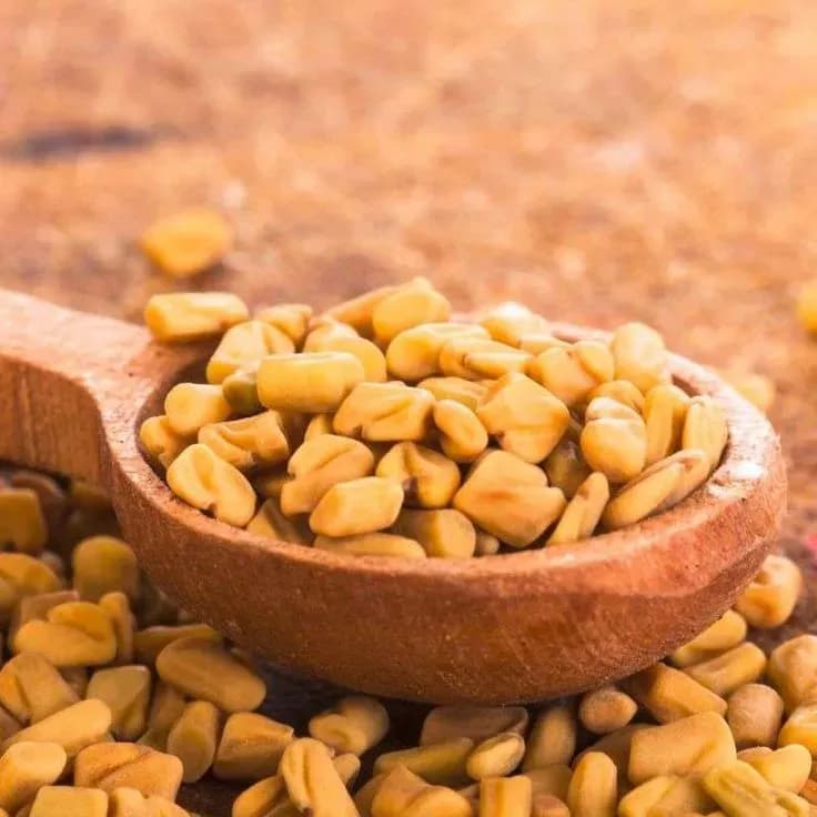 تخم شنبلیله؛ خواص، تشخیص نمونهٔ اصل و روش درست مصرف و نگهداری
