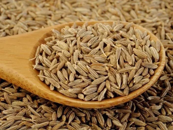 زیره سبز؛ خواص، تشخیص نمونهٔ اصل و روش درست مصرف و نگهداری