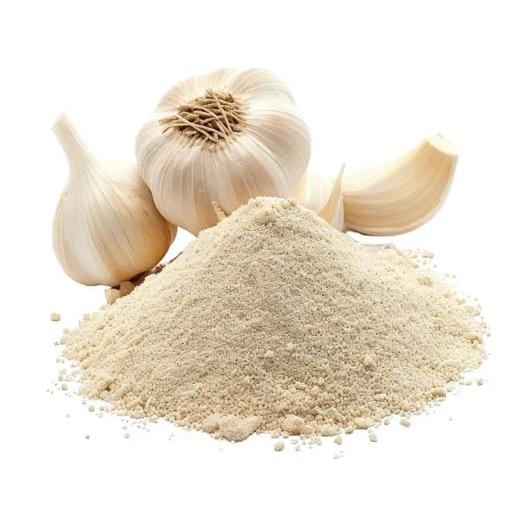 پودر سیر چیست؟ خواص، تشخیص اصل از تقلبی و طرز مصرف درست