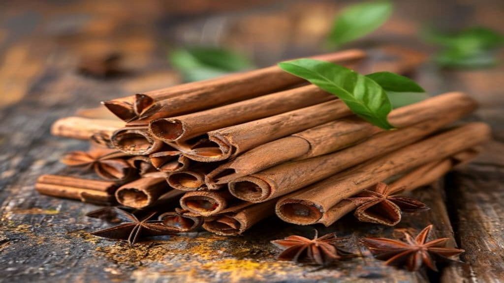دارچین قلم؛ خواص، تشخیص نمونهٔ اصل و راهنمای مصرف و نگهداری